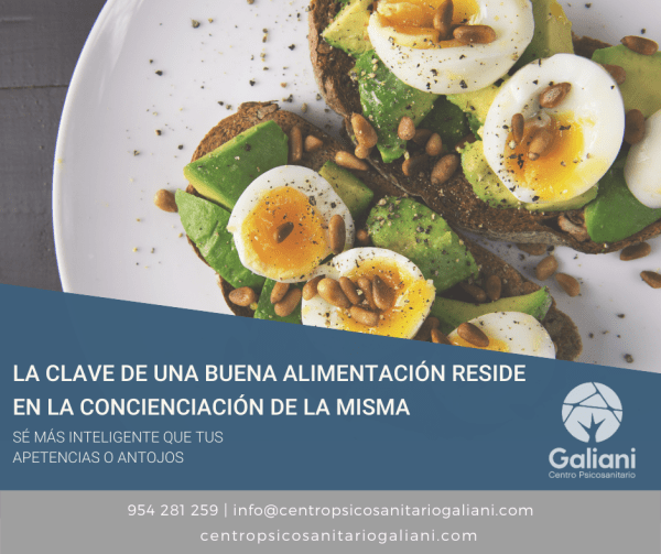 La clave de una buena alimentación reside en la conciencia de la misma